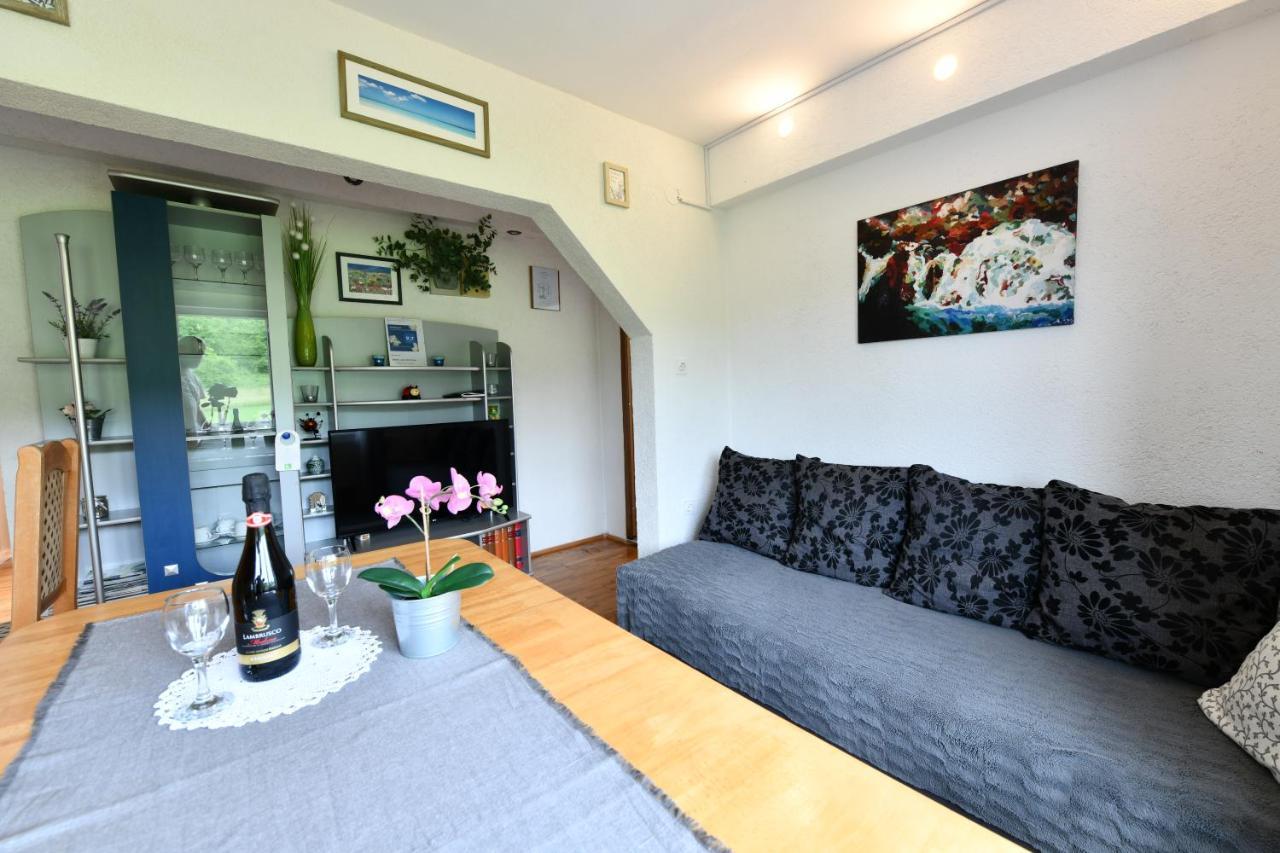 Apartment Marija Zupan Rakovica Dış mekan fotoğraf