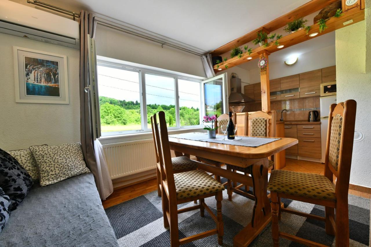 Apartment Marija Zupan Rakovica Dış mekan fotoğraf